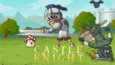 Castle Knight