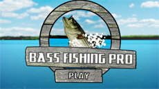 Bass fishing pro